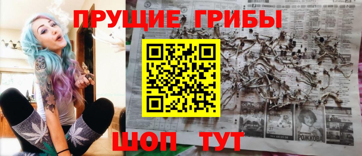 Галлюциногенные грибы Psilocybine cubensis  Псилоцибиновые грибы GOLDEN TEACHER  где купить наркотик  Переславль-Залесский  Вход с VPN 
