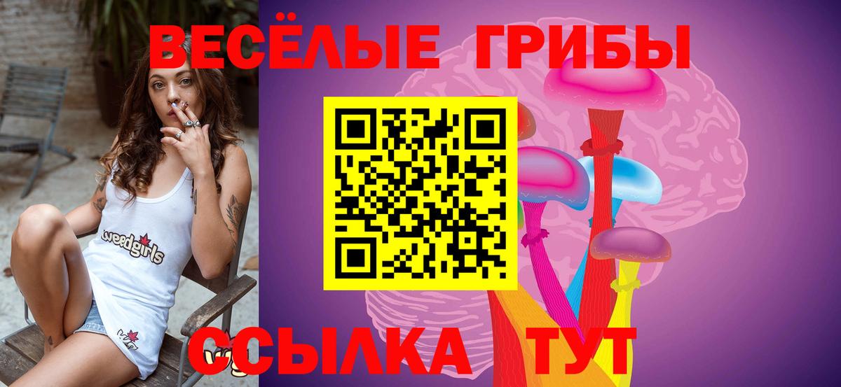 Галлюциногенные грибы мухоморы Переславль-Залесский